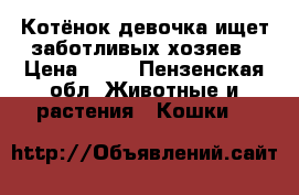 Котёнок,девочка ищет заботливых хозяев › Цена ­ 10 - Пензенская обл. Животные и растения » Кошки   